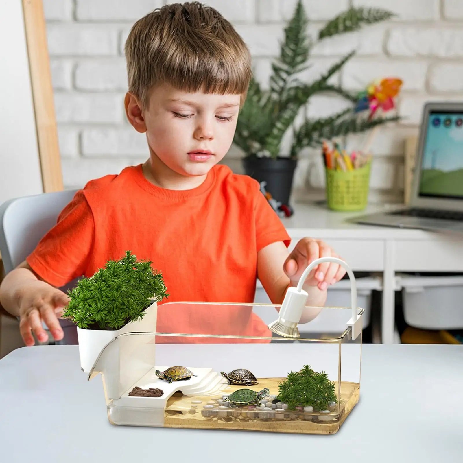 Turtle Tank with Basking Area Transparent Reptile Terrarium Habitat for Pet Turtles Hermit Crabs Tortoise Aquatic Amphibians