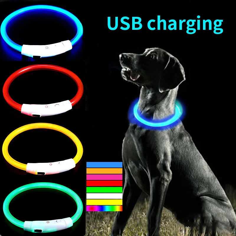 Multi-Color PVC LED Fiber Optic Dog Collar USB Rechargeable Night Safety Light 40/50/70cm Sizes Available Pet Collar1pc