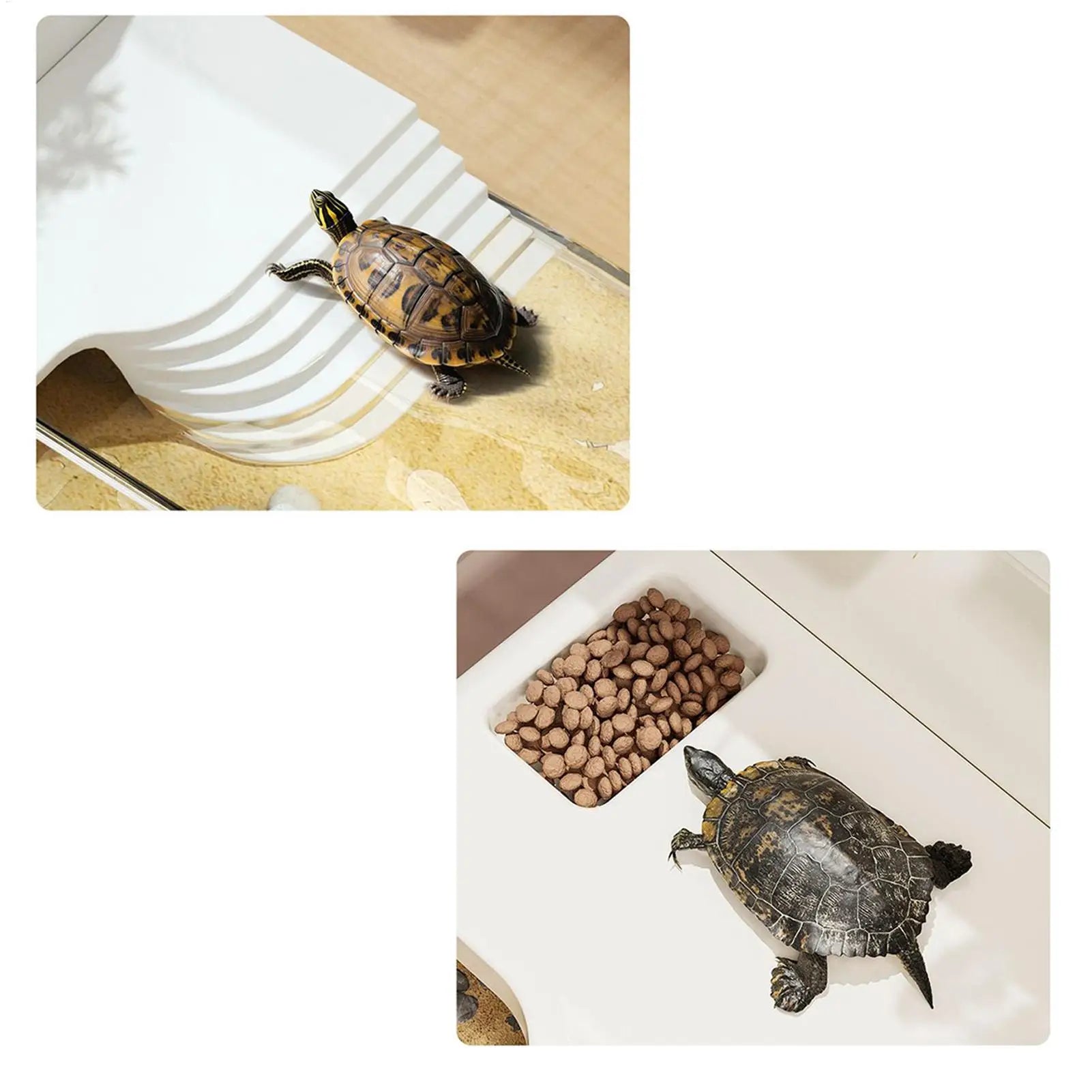 Aquatic Turtle Tank Large Detachable Terrarium Multi-Function Area Tortoise Aquarium Tank For Tree Frog Salamanders Crayfish