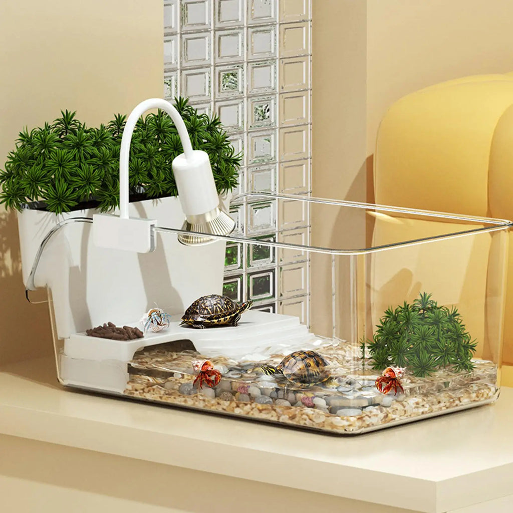 Turtle Tank with Basking Area Transparent Reptile Terrarium Habitat for Pet Turtles Hermit Crabs Tortoise Aquatic Amphibians