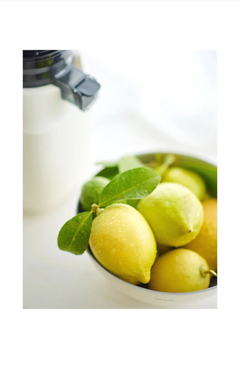 Large-Caliber Juicer Household Automatic Juicer Low-Speed Slag Juice Separation Food Grade 304 Stainless Steel Easy to Clean