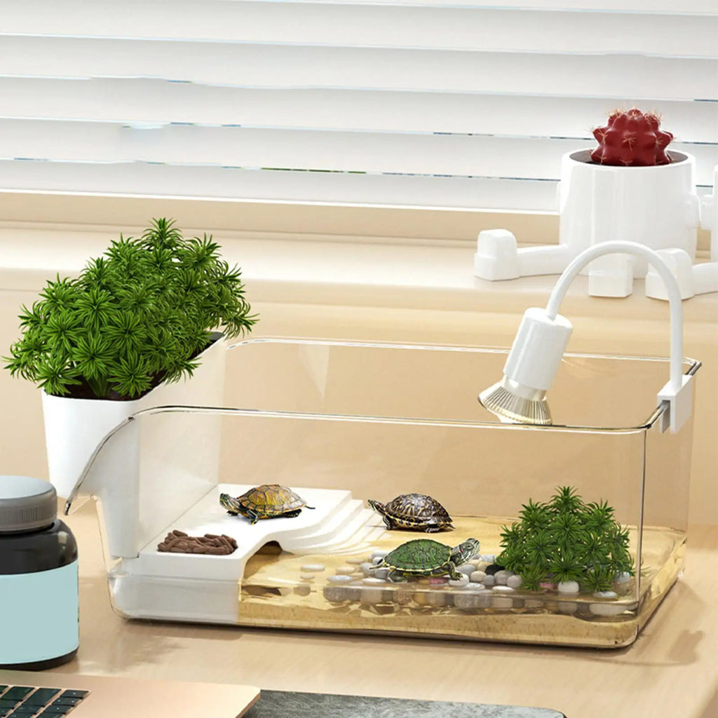 Turtle Tank with Basking Area Transparent Reptile Terrarium Habitat for Pet Turtles Hermit Crabs Tortoise Aquatic Amphibians