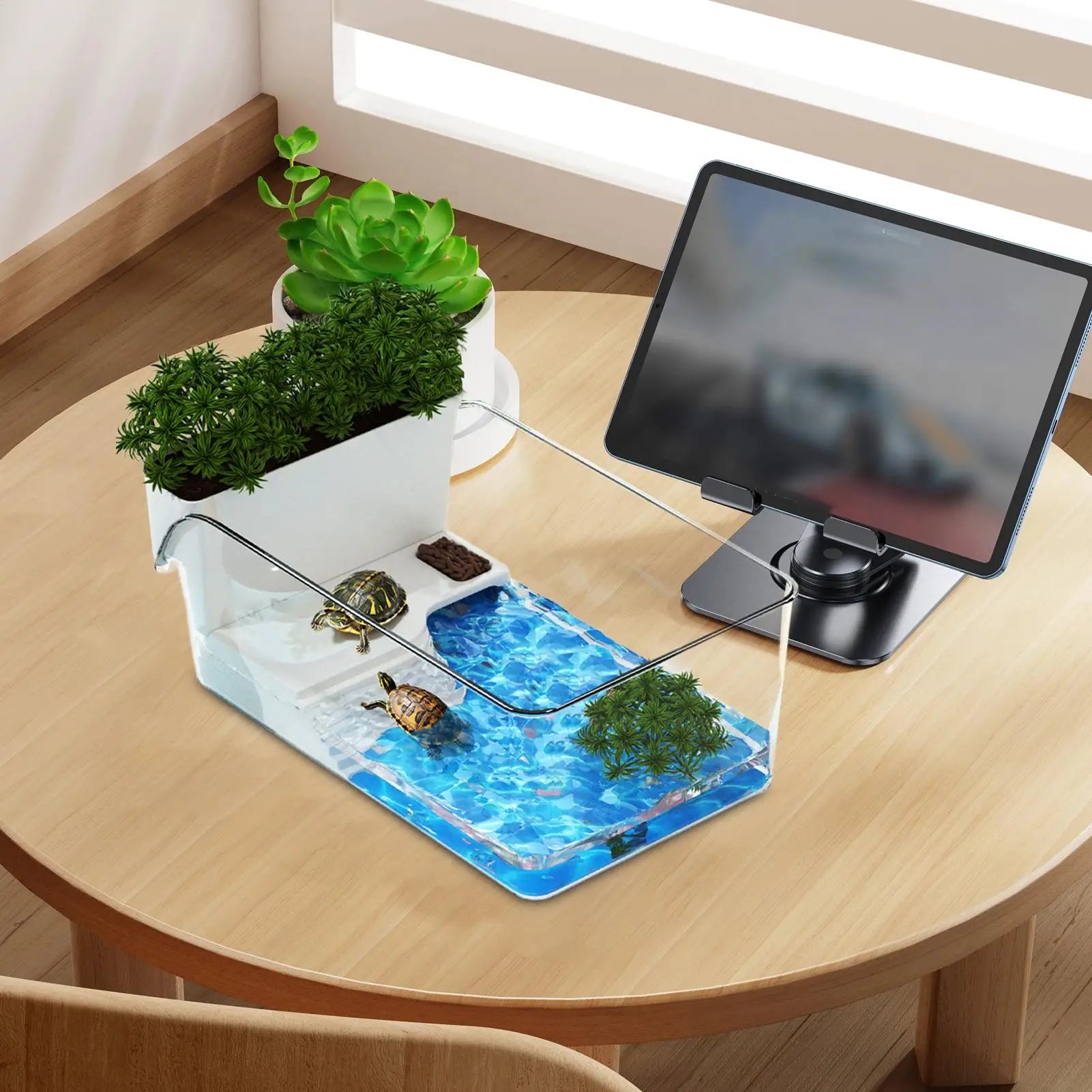 Turtle Tank with Basking Area Transparent Reptile Terrarium Habitat for Pet Turtles Hermit Crabs Tortoise Aquatic Amphibians