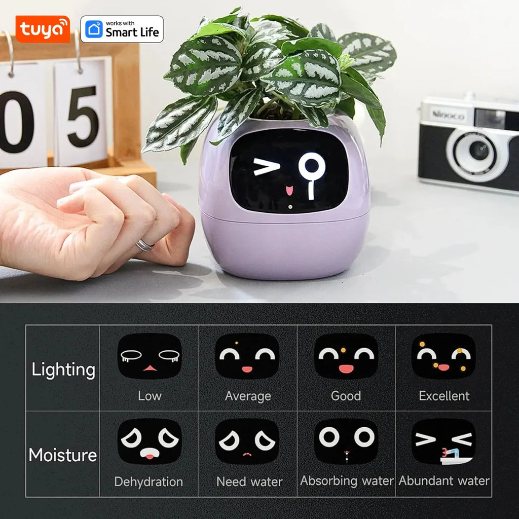 Ivy Tuya Smart Planter,Endless Fun Over 49 Rich Expressions,7 smart sensors,AI Chips Make Raising Plants Easy and Fun
