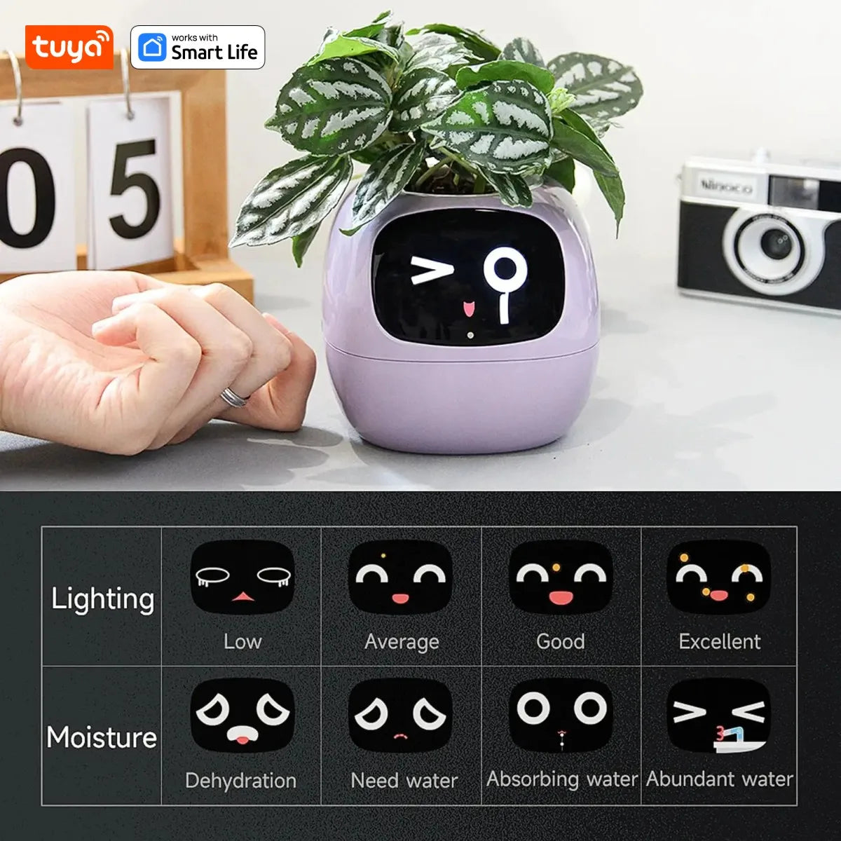 Ivy Tuya Smart Planter,Endless Fun Over 49 Rich Expressions,7 smart sensors,AI Chips Make Raising Plants Easy and Fun