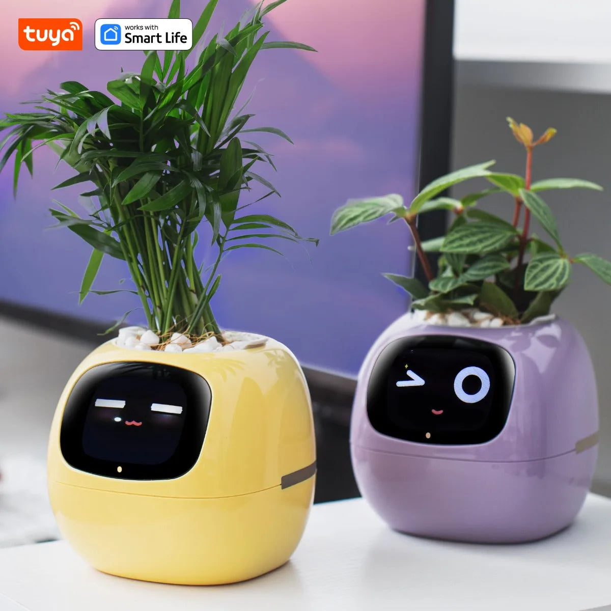 Ivy Tuya Smart Planter,Endless Fun Over 49 Rich Expressions,7 smart sensors,AI Chips Make Raising Plants Easy and Fun