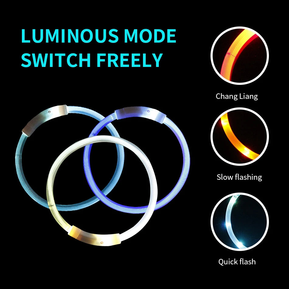 Multi-Color PVC LED Fiber Optic Dog Collar USB Rechargeable Night Safety Light 40/50/70cm Sizes Available Pet Collar1pc