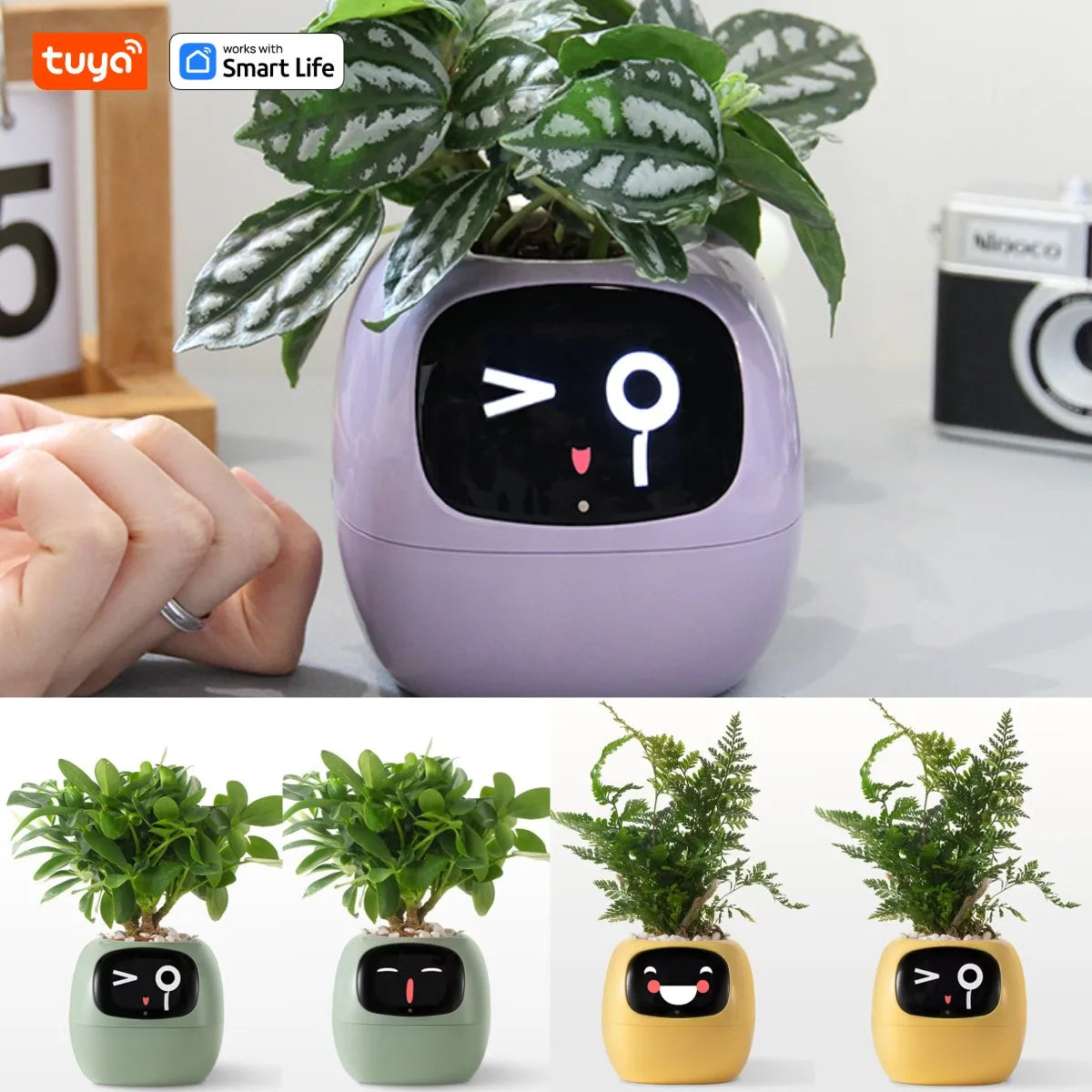 Ivy Tuya Smart Planter,Endless Fun Over 49 Rich Expressions,7 smart sensors,AI Chips Make Raising Plants Easy and Fun