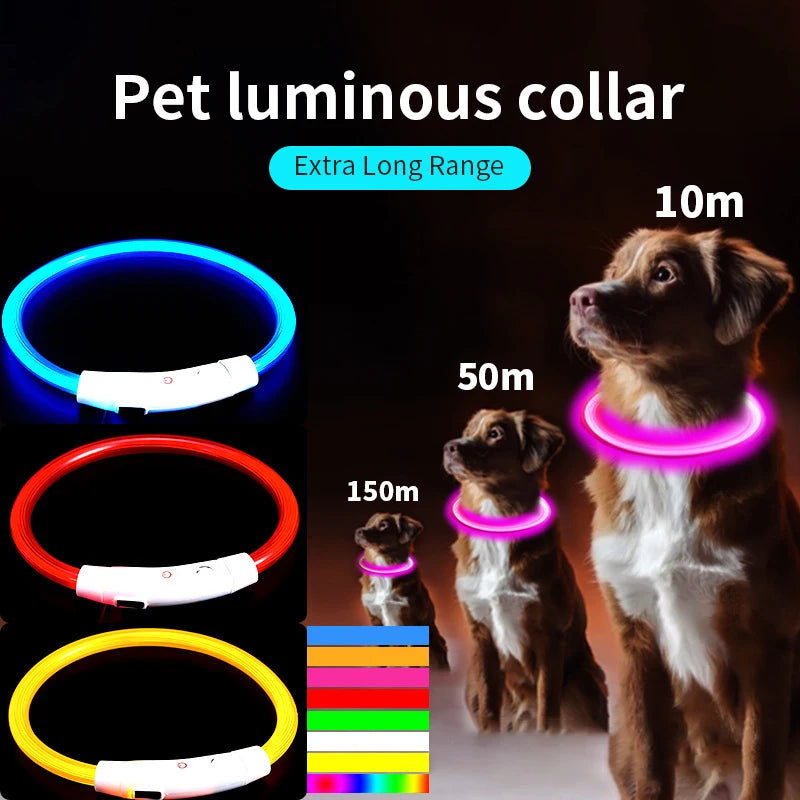 Multi-Color PVC LED Fiber Optic Dog Collar USB Rechargeable Night Safety Light 40/50/70cm Sizes Available Pet Collar1pc