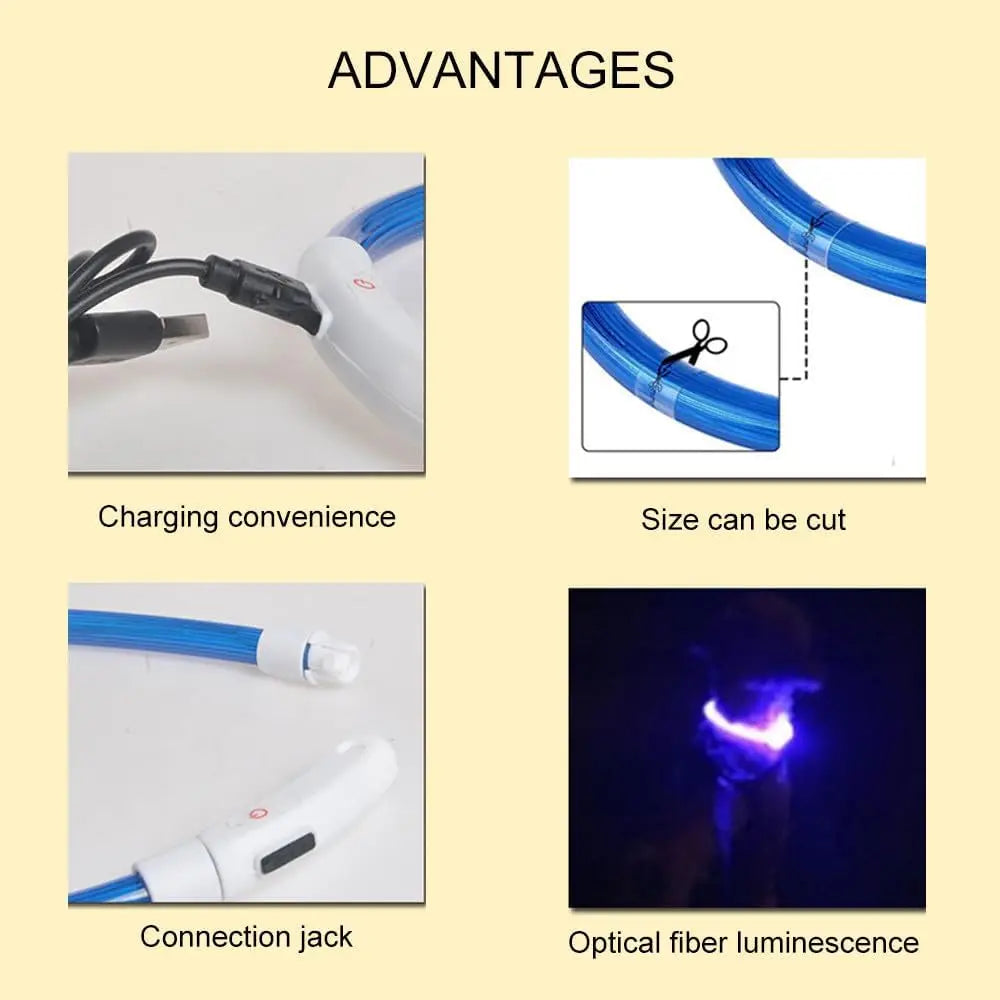 Multi-Color PVC LED Fiber Optic Dog Collar USB Rechargeable Night Safety Light 40/50/70cm Sizes Available Pet Collar1pc
