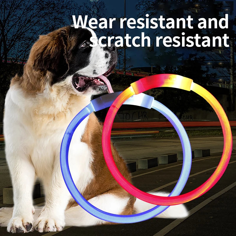 Multi-Color PVC LED Fiber Optic Dog Collar USB Rechargeable Night Safety Light 40/50/70cm Sizes Available Pet Collar1pc
