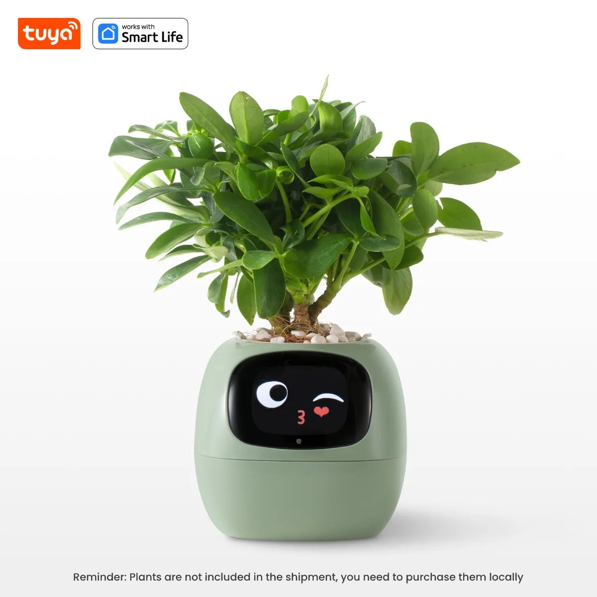 Ivy Tuya Smart Planter,Endless Fun Over 49 Rich Expressions,7 smart sensors,AI Chips Make Raising Plants Easy and Fun