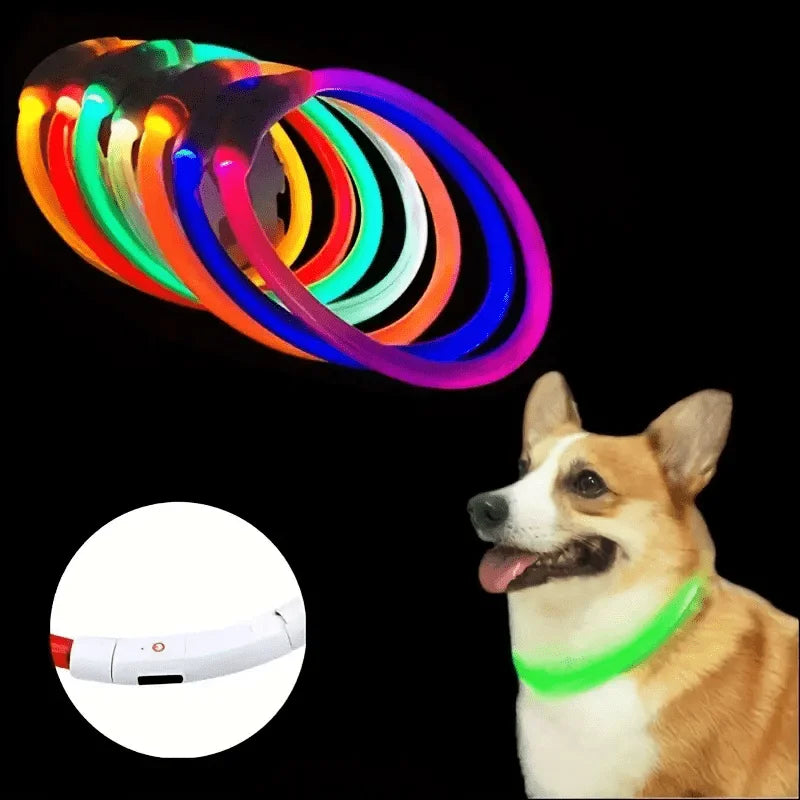 Pet Dog LED Light Collar Luminous Anti-Lost Dog Collar USB Rechargeable Dog Necklace Collar